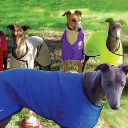 Cool Coats